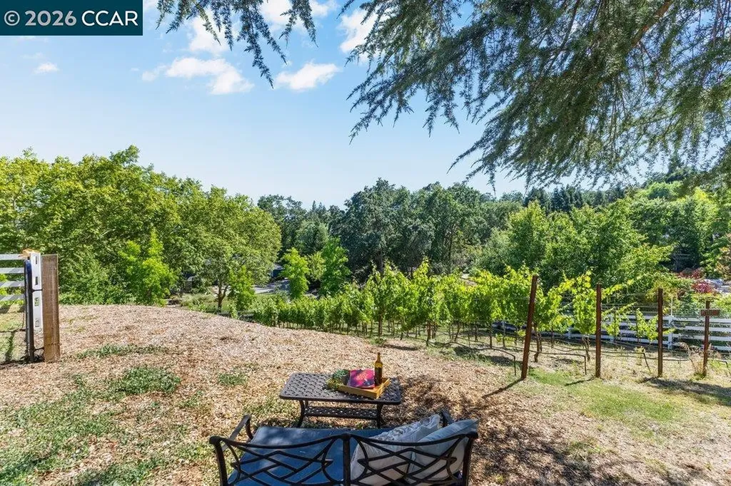 189 Oak Road Alamo CA 94507