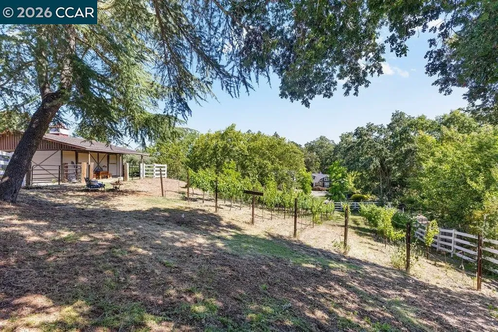 189 Oak Road Alamo CA 94507