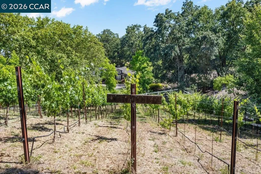 189 Oak Road Alamo CA 94507