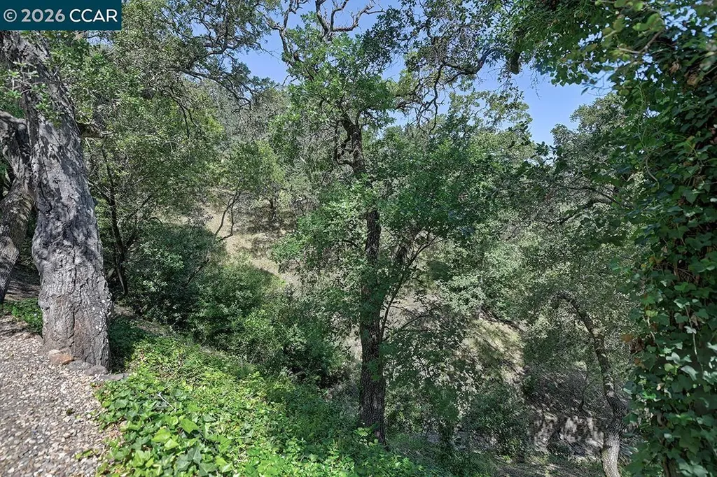 1332 Running Springs Road Walnut Creek CA 94595