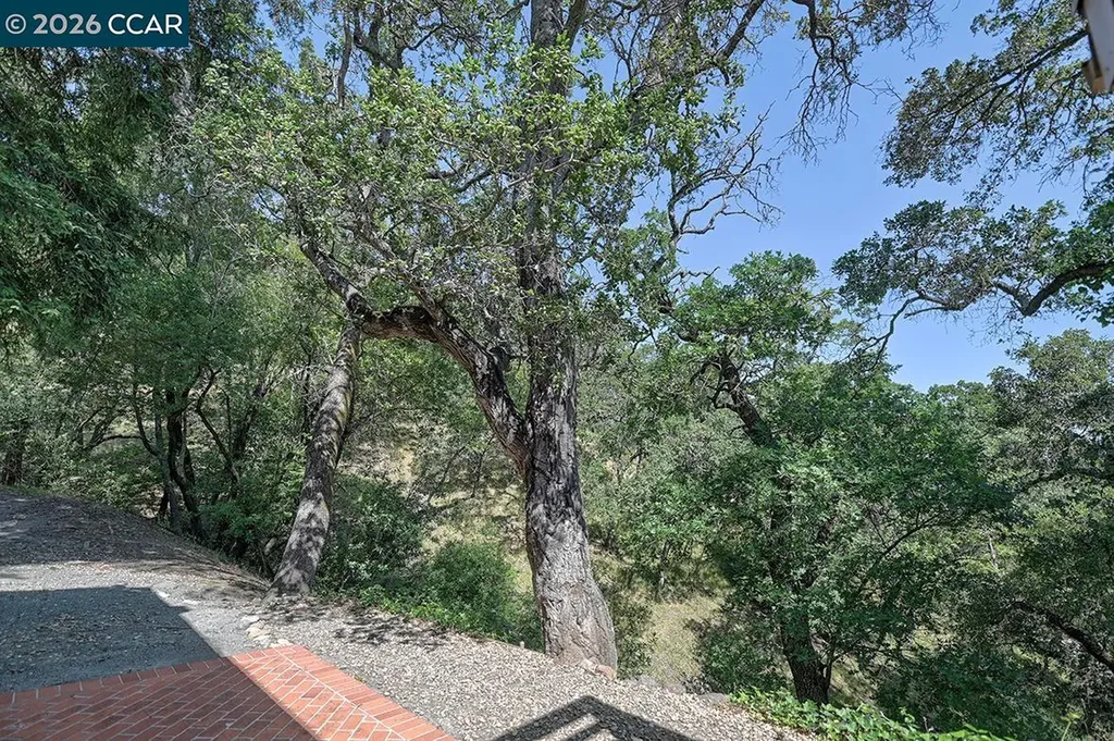 1332 Running Springs Road Walnut Creek CA 94595