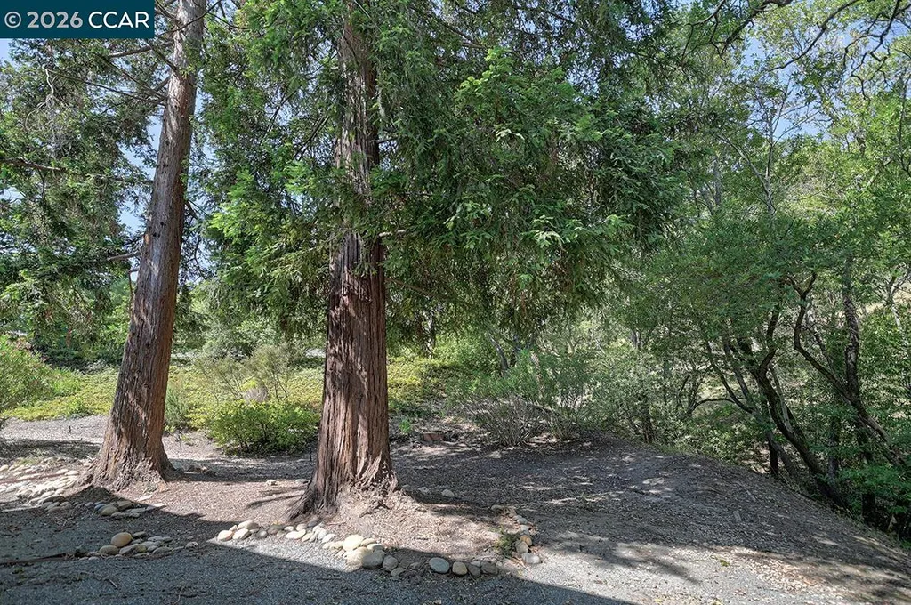 1332 Running Springs Road Walnut Creek CA 94595