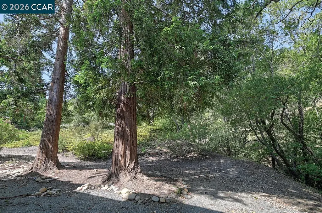 1332 Running Springs Road Walnut Creek CA 94595