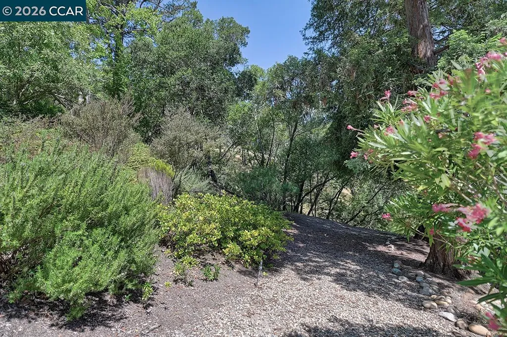 1332 Running Springs Road Walnut Creek CA 94595