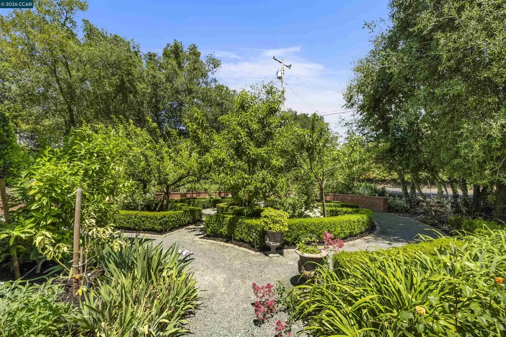 177 Oak Road Alamo CA 94507