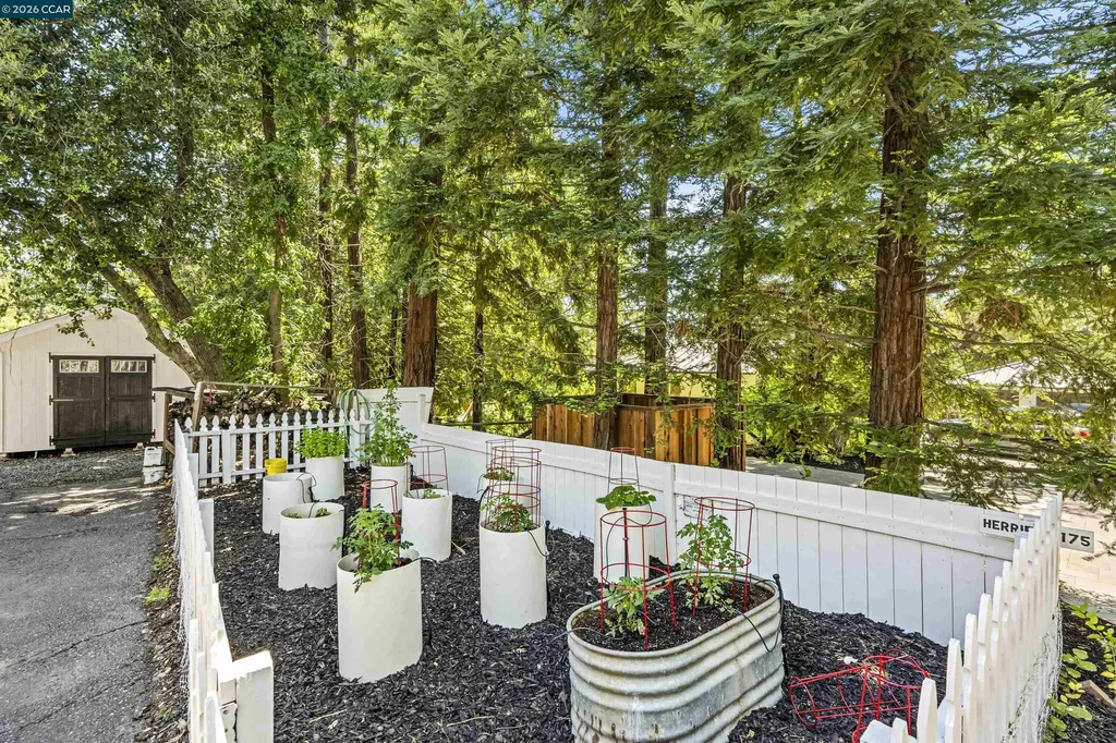 177 Oak Road Alamo CA 94507