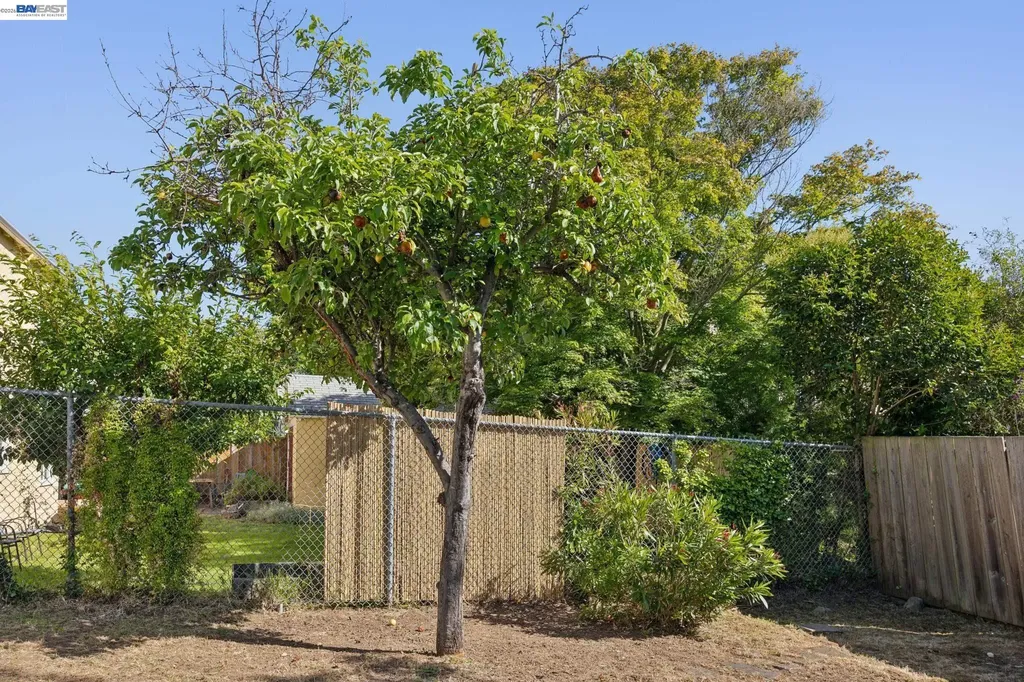 3039 Kansas Street Oakland CA 94602