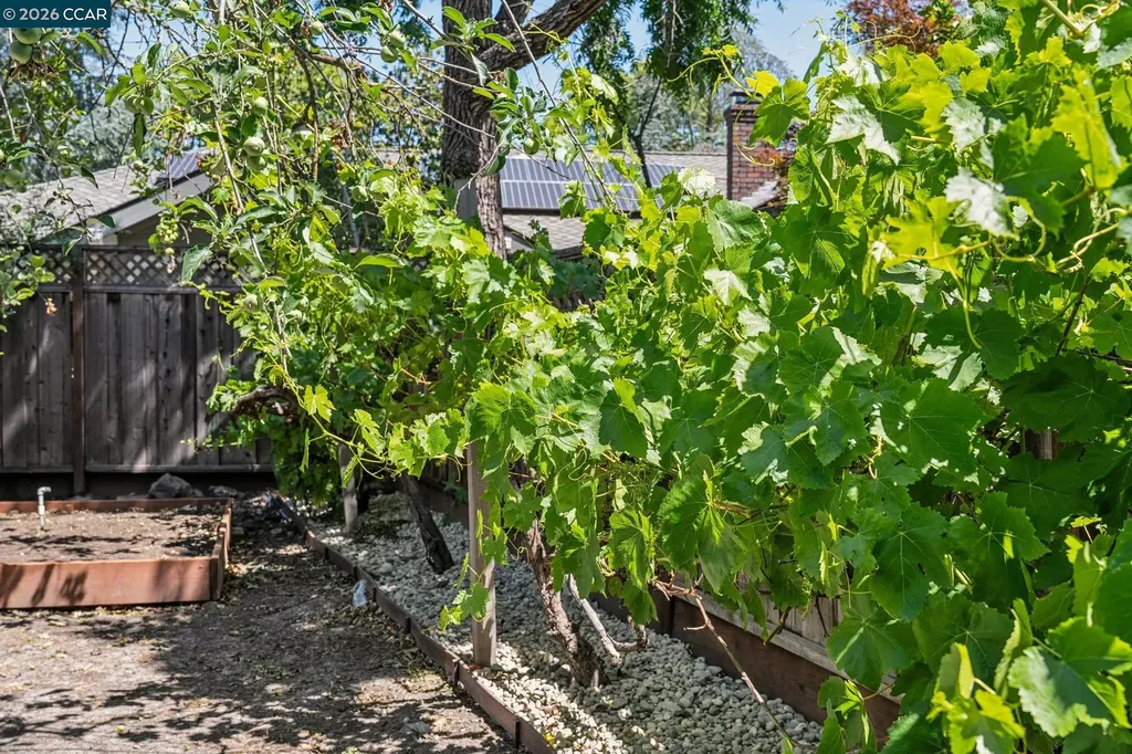137 Megan Court Alamo CA 94507