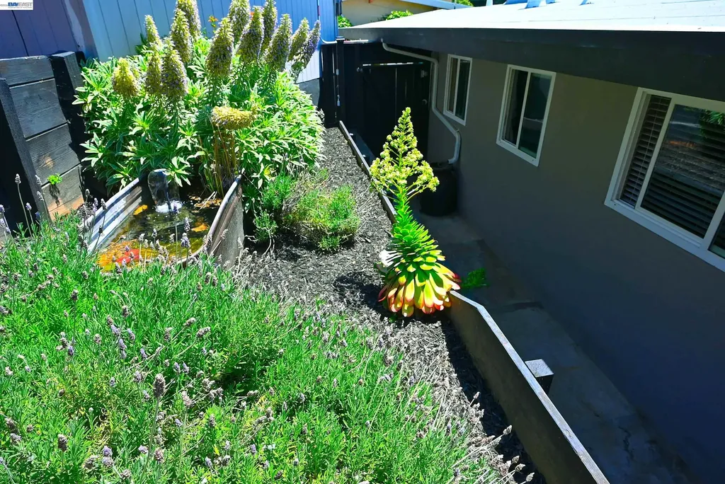5239 Katrina Court Castro Valley CA 94546