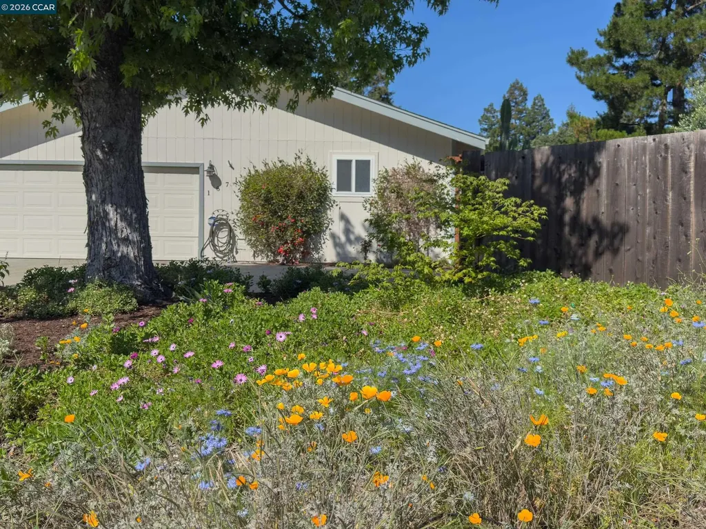 1671 Dugan Court Concord CA 94521