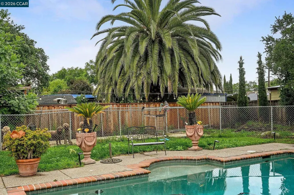 2355 Belmont Road Concord CA 94520