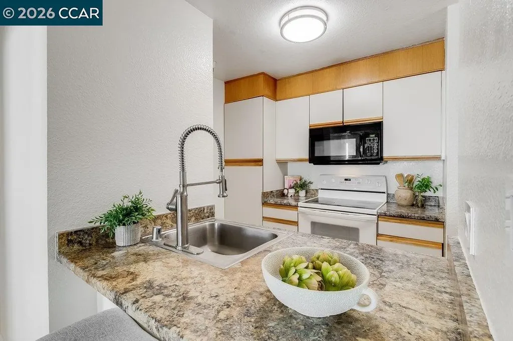 3183 Wayside Plaza Walnut Creek CA 94597