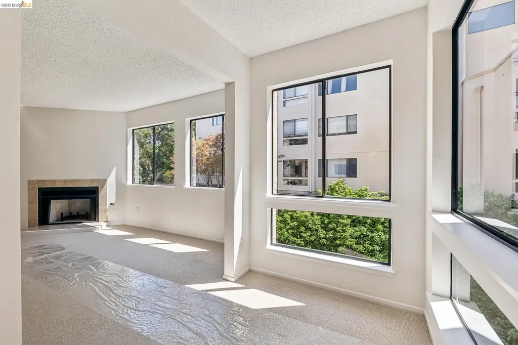 545 Pierce Street Albany CA 94706