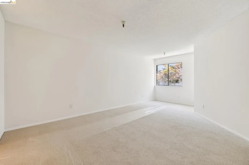 545 Pierce Street Albany CA 94706