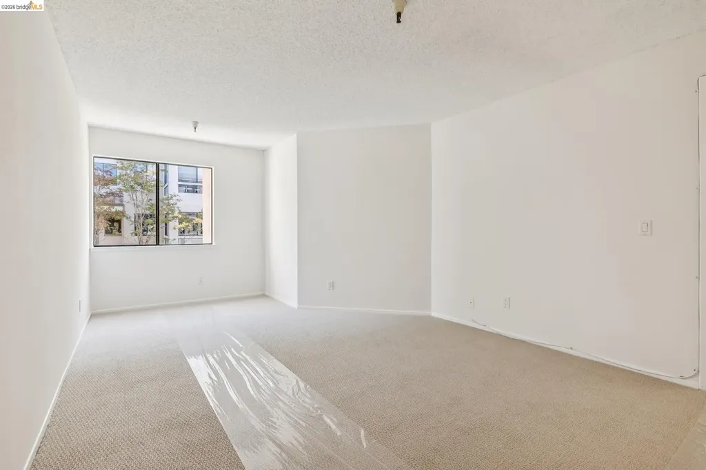 545 Pierce Street Albany CA 94706