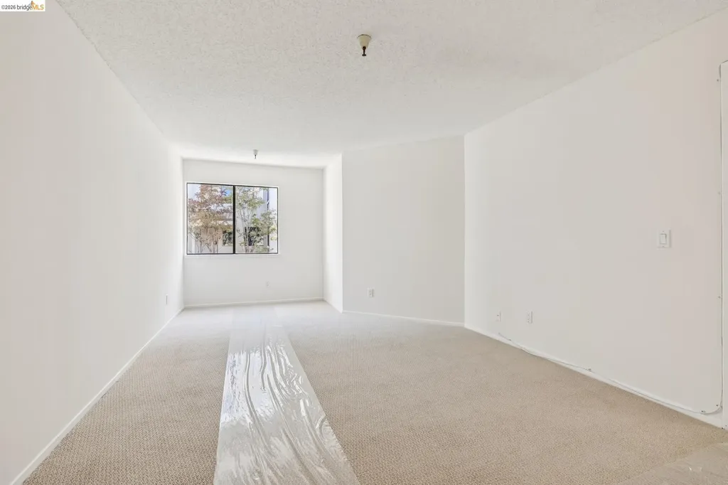 545 Pierce Street Albany CA 94706