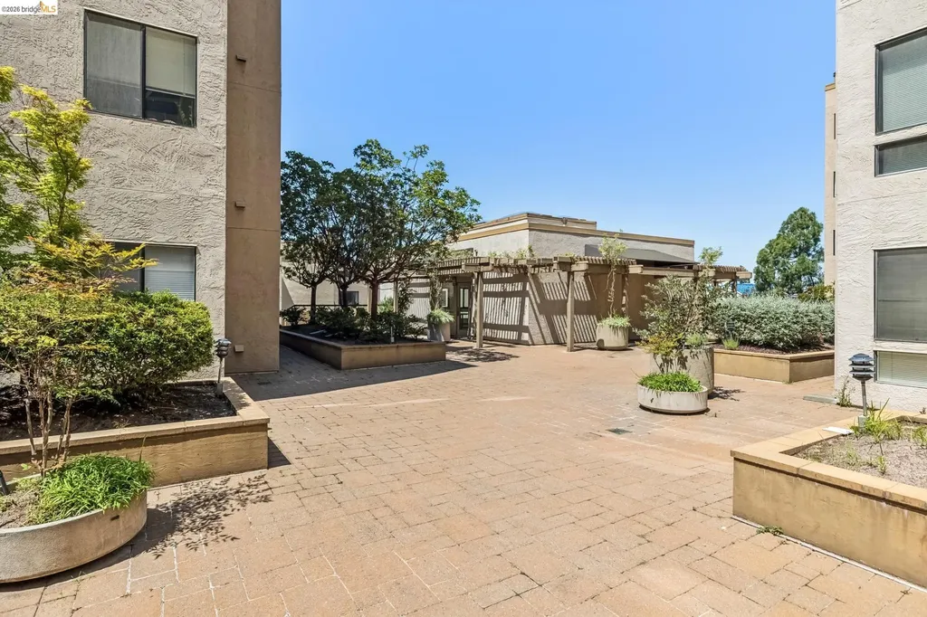 545 Pierce Street Albany CA 94706