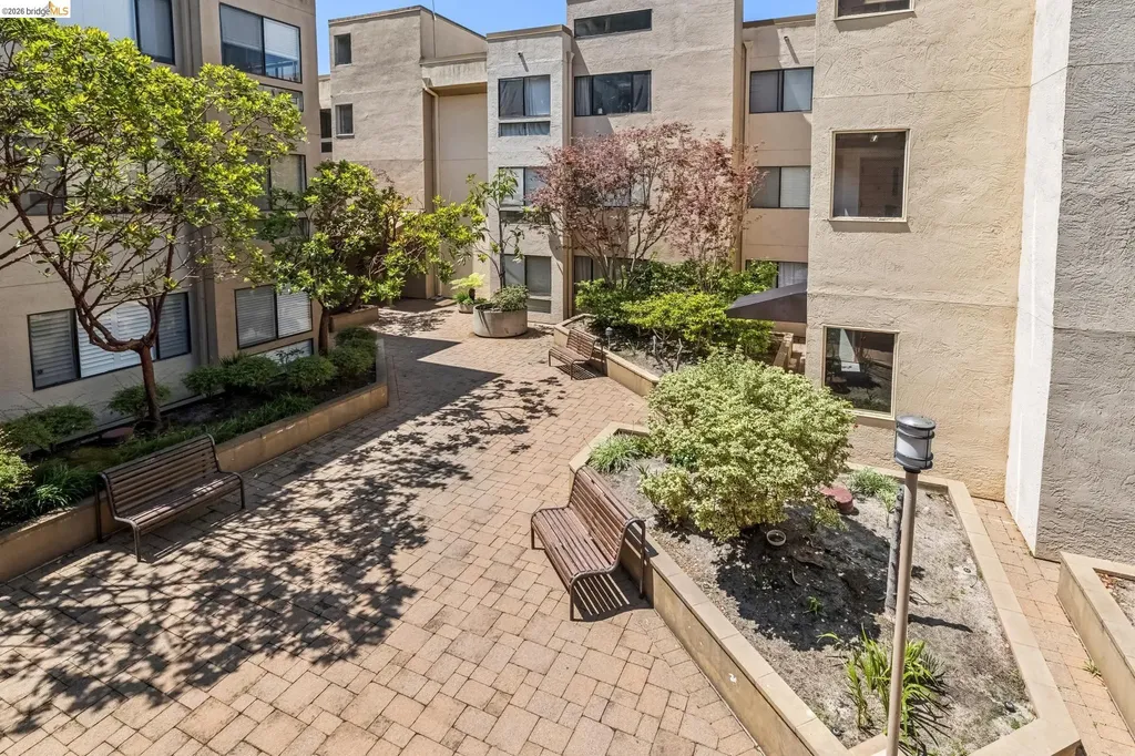 545 Pierce Street Albany CA 94706