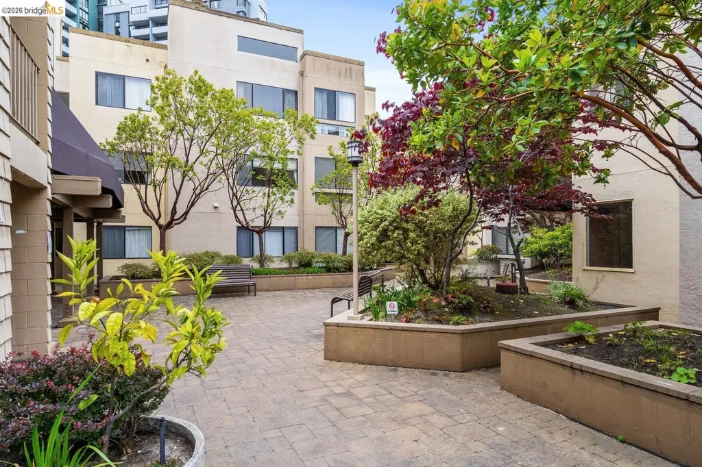 545 Pierce Street Albany CA 94706
