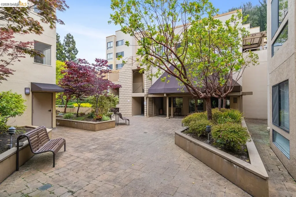 545 Pierce Street Albany CA 94706
