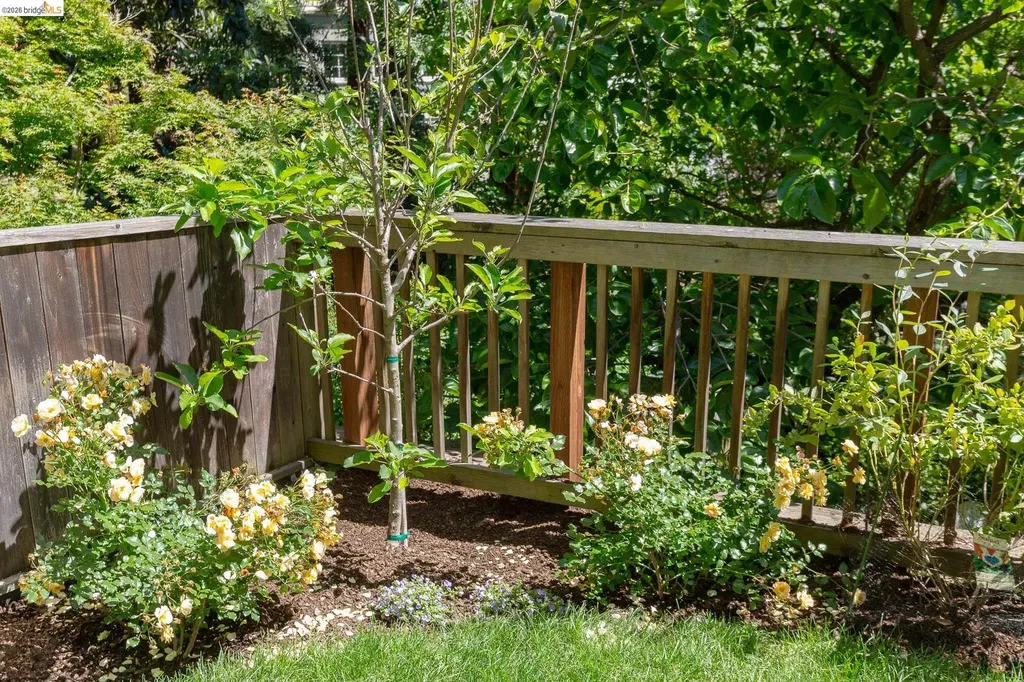 306 Wildwood Avenue Piedmont CA 94611