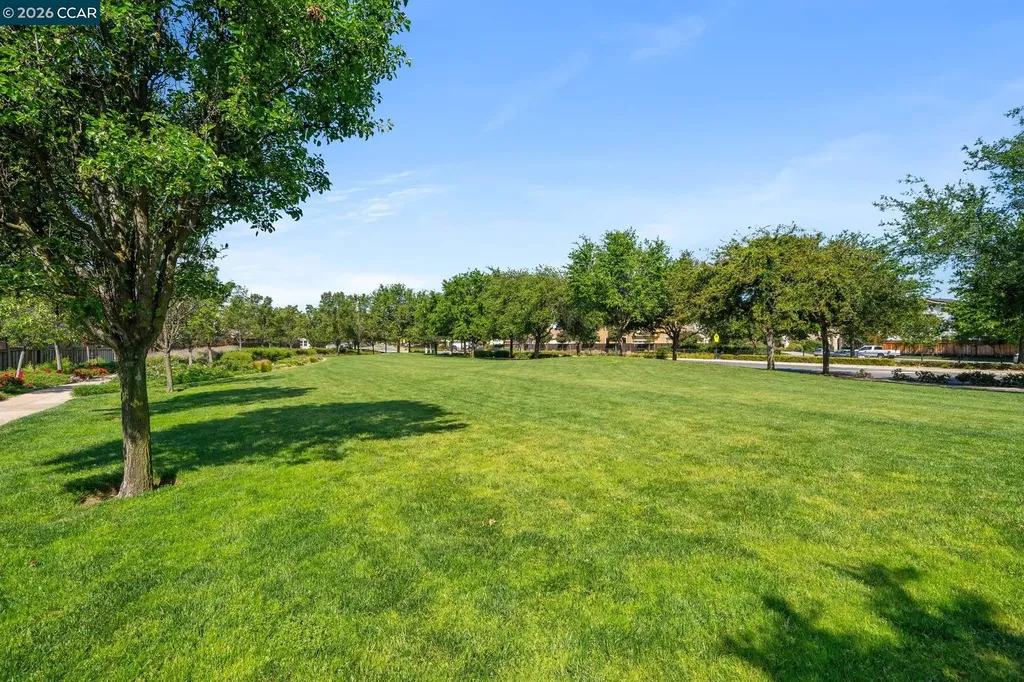 540 Vanek Drive Oakley CA 94561