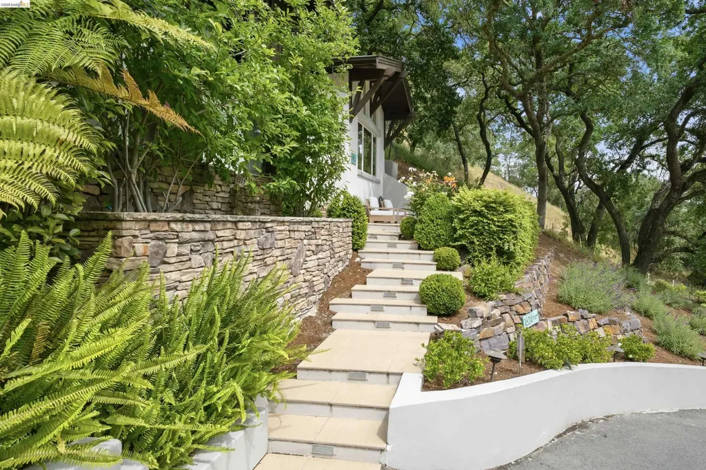 1624 Campesino Court Alamo CA 94507