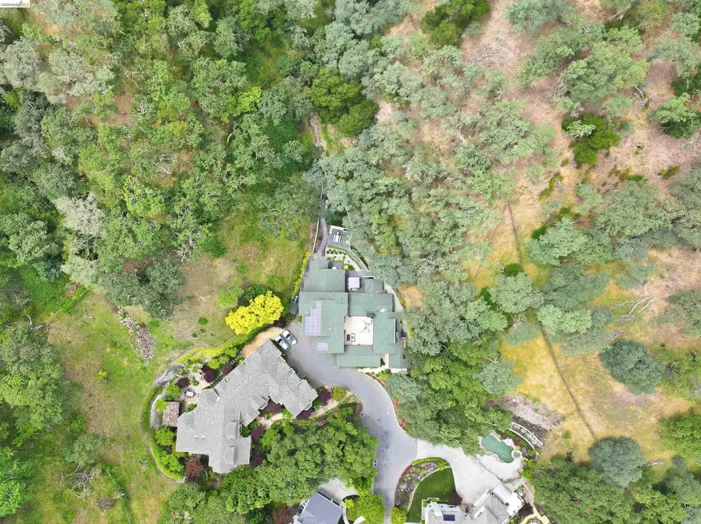 1624 Campesino Court Alamo CA 94507