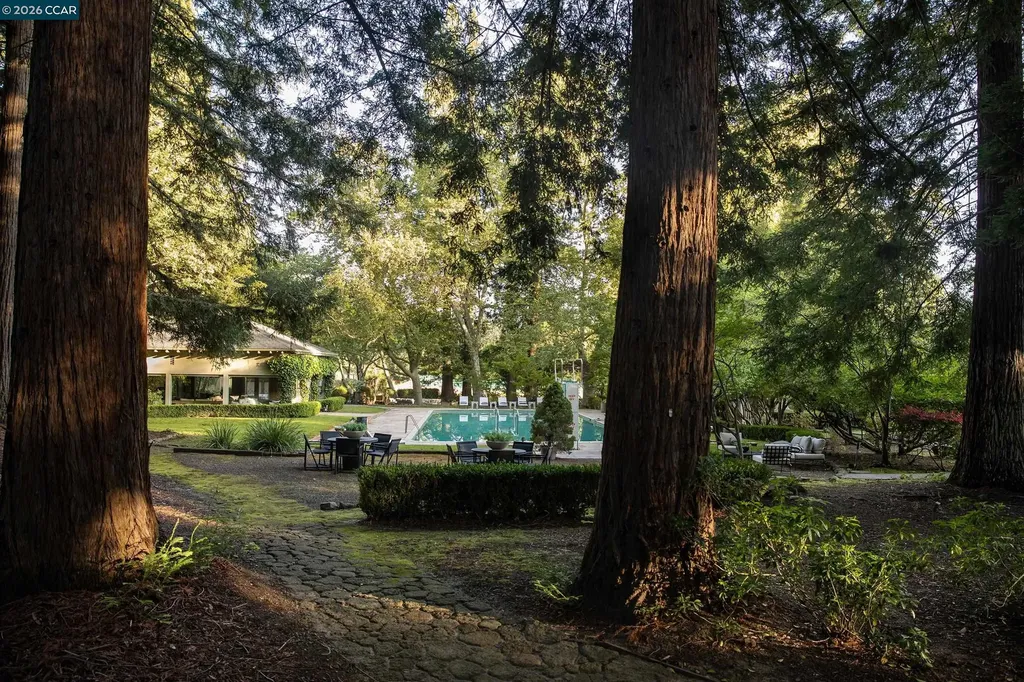 300 Camille Avenue Alamo CA 94507