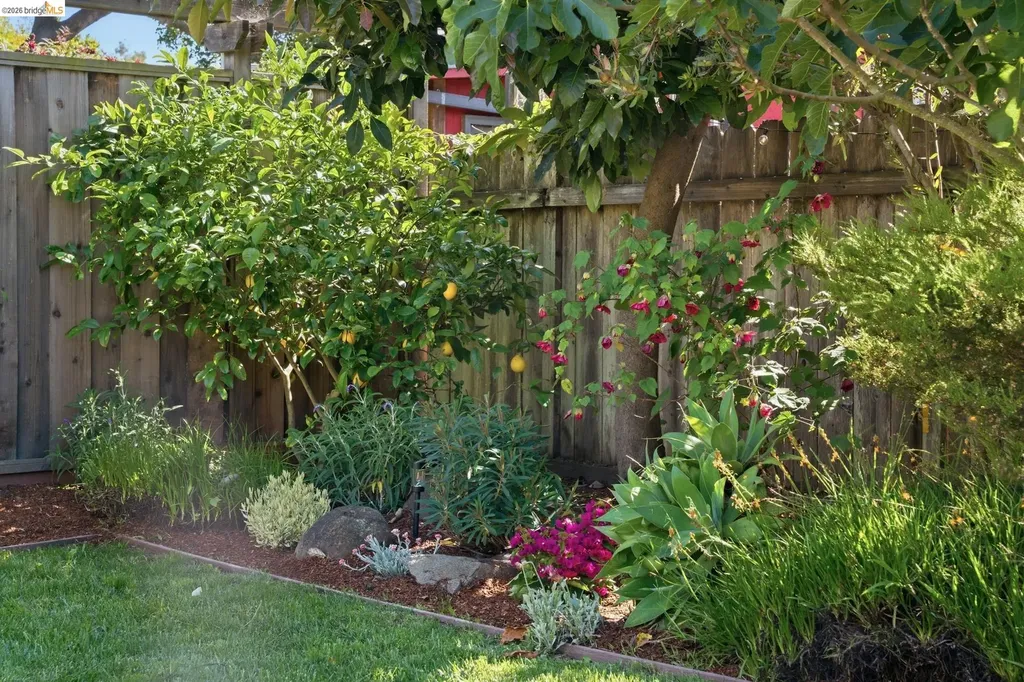 2210 Browning Street Berkeley CA 94702