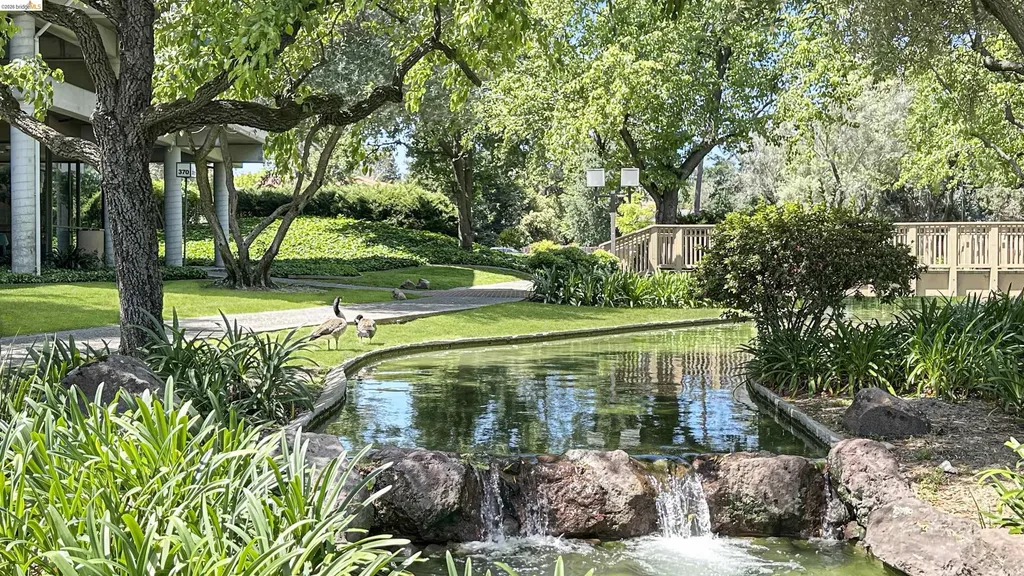 460 N. Civic Drive Walnut Creek CA 94596