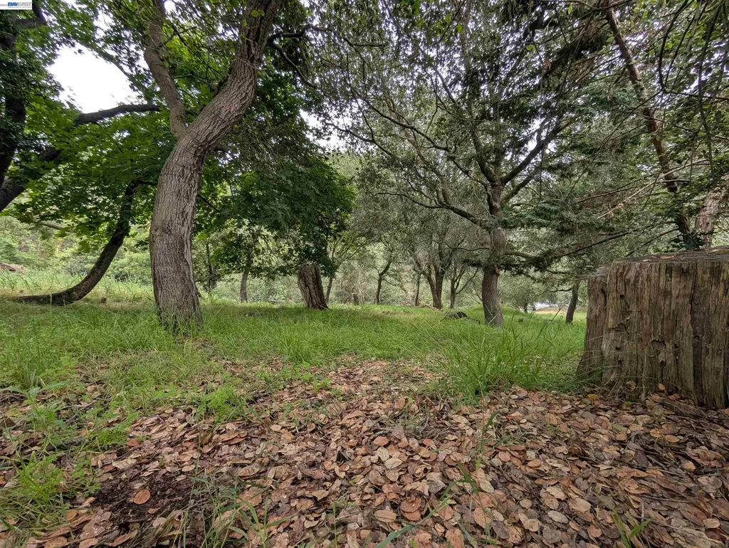 00 Girvin Drive Oakland CA 94603