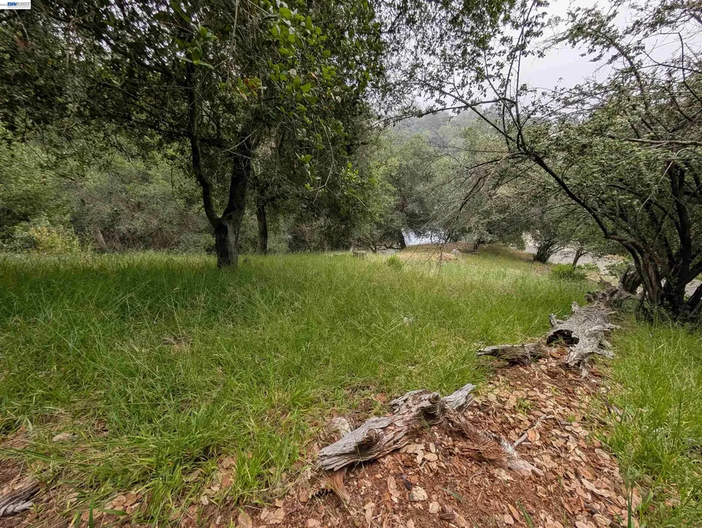 00 Girvin Drive Oakland CA 94603