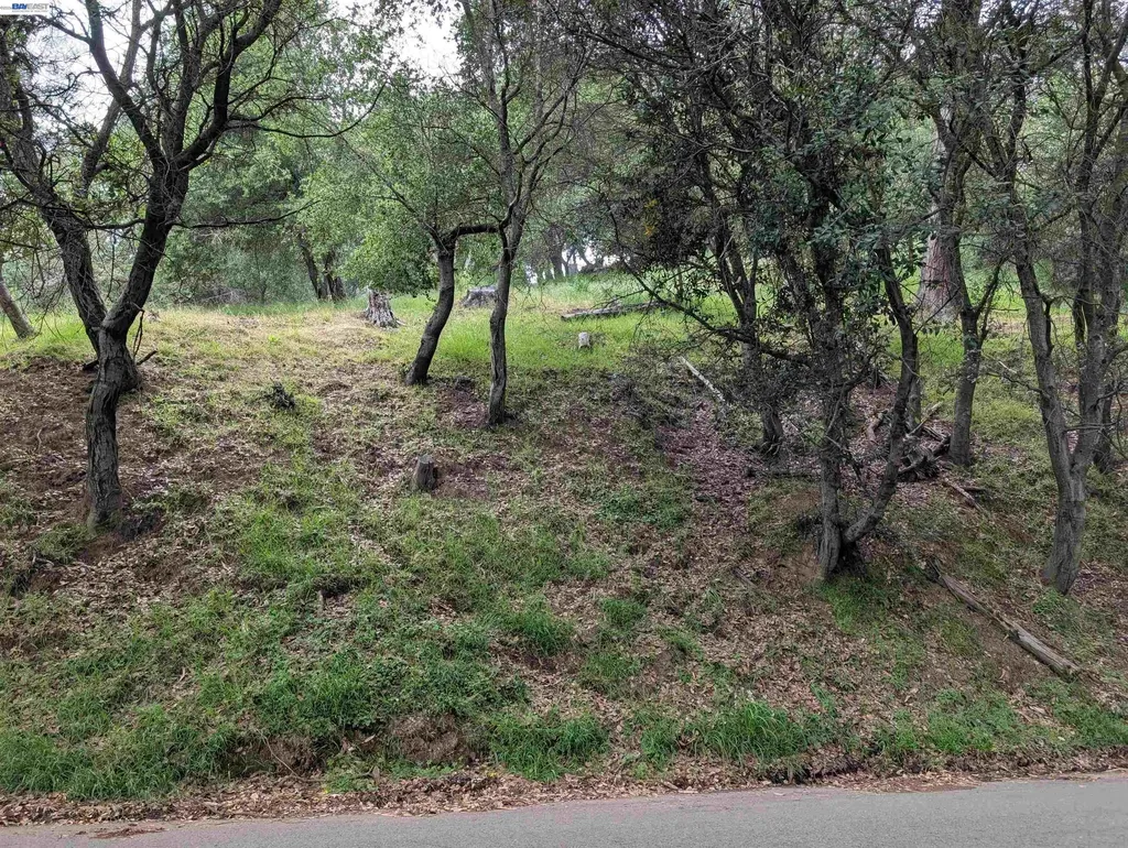 00 Girvin Drive Oakland CA 94603