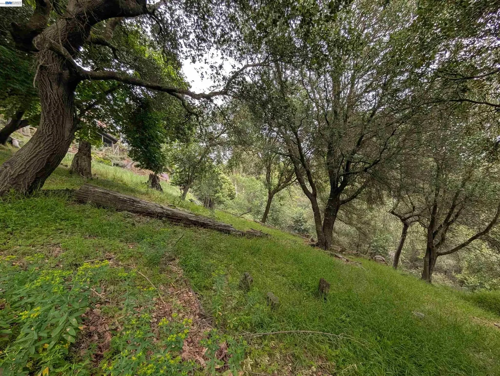 00 Girvin Drive Oakland CA 94603
