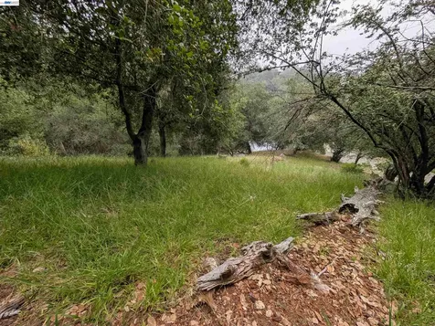 00 Girvin Drive Oakland CA 94603
