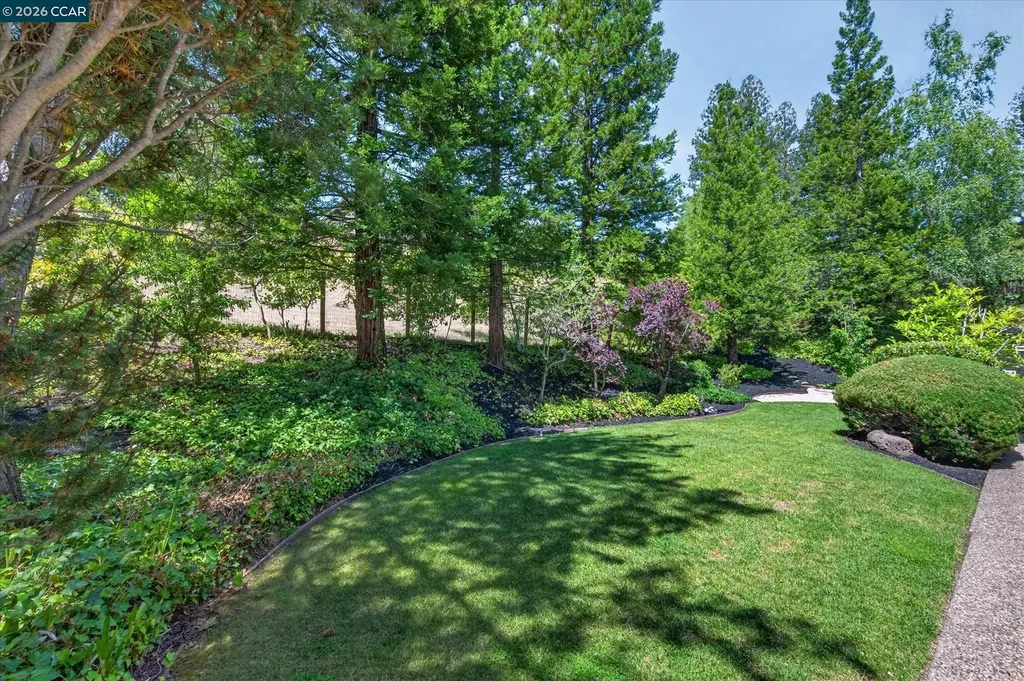 4423 Deer Ridge Road Danville CA 94506