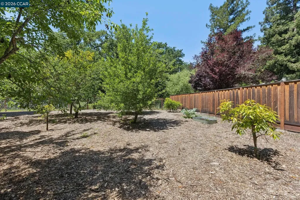 27 Shawn Court Alamo CA 94507
