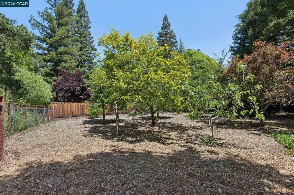 27 Shawn Court Alamo CA 94507