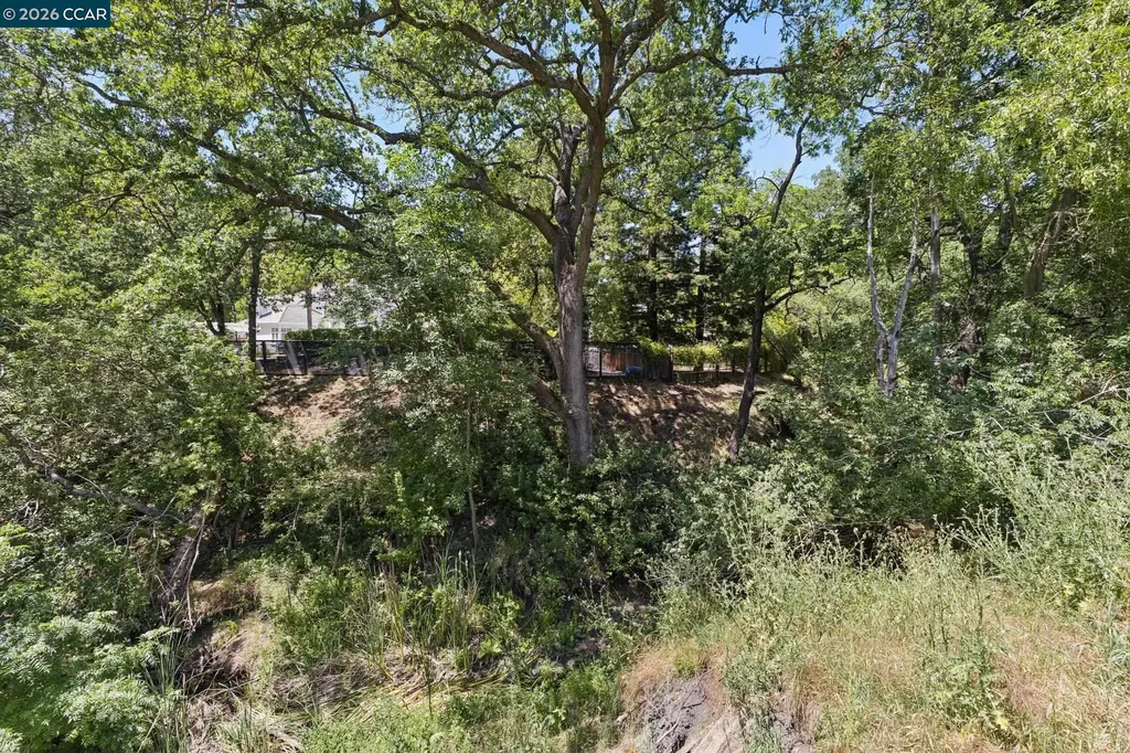 27 Shawn Court Alamo CA 94507