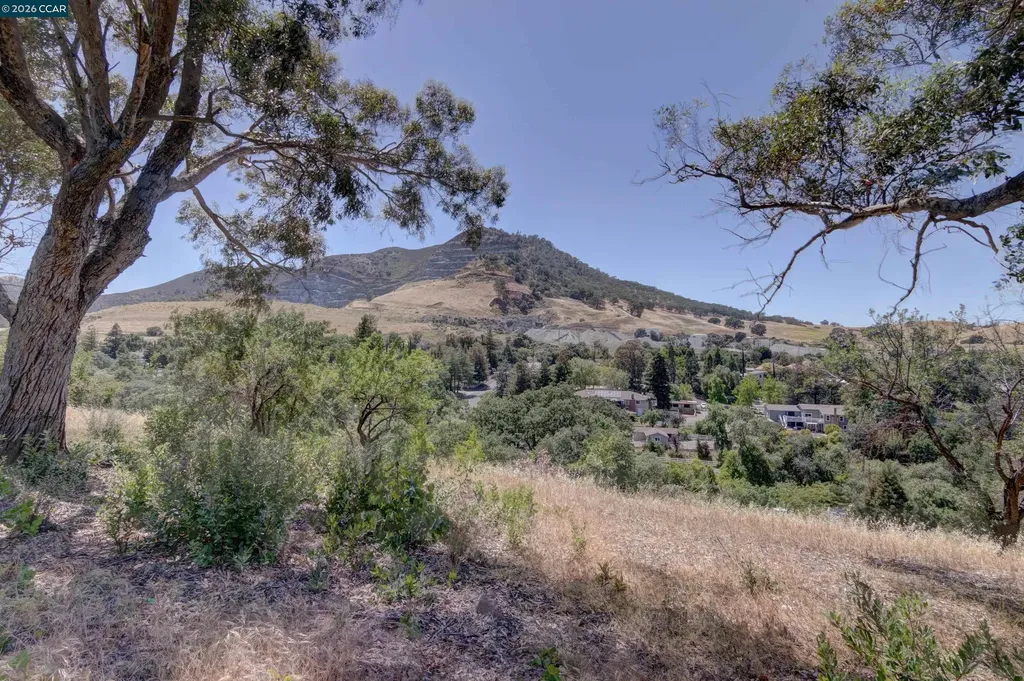 585 Mt Dell Drive Clayton CA 94517