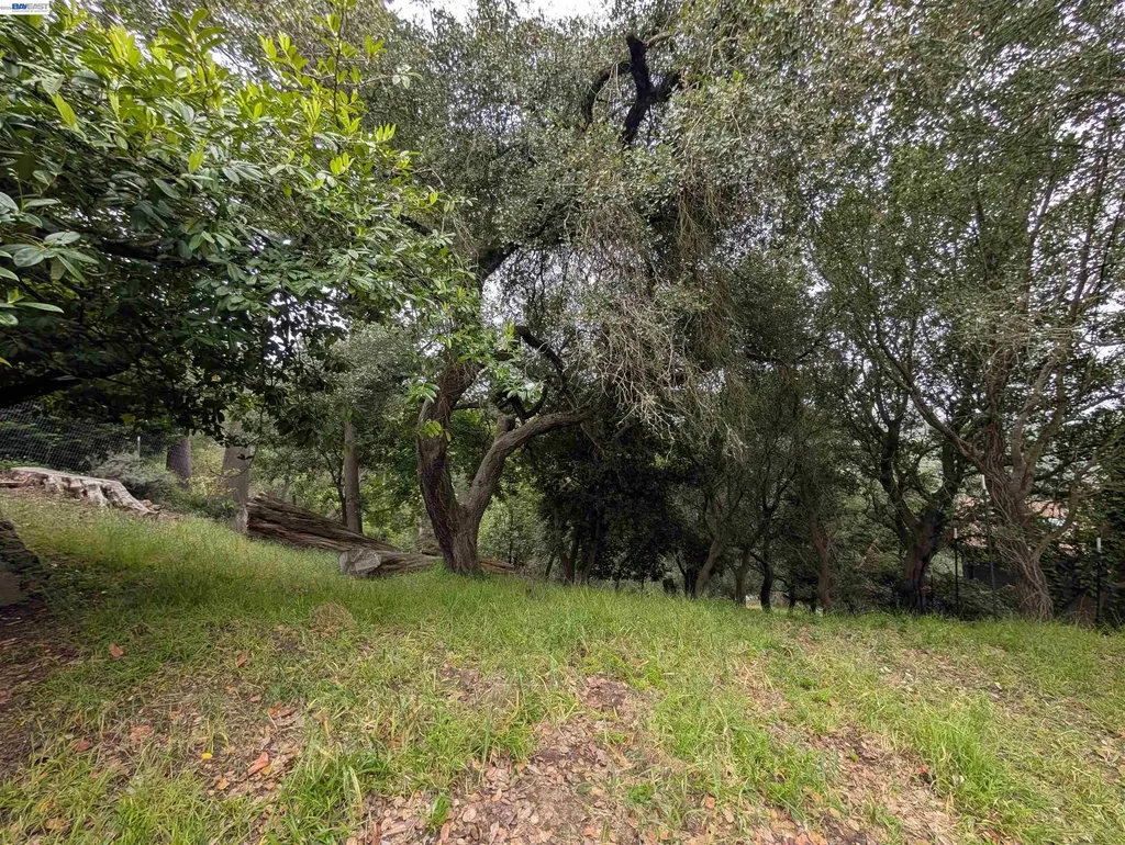 0 Chelsea Court Oakland CA 94603
