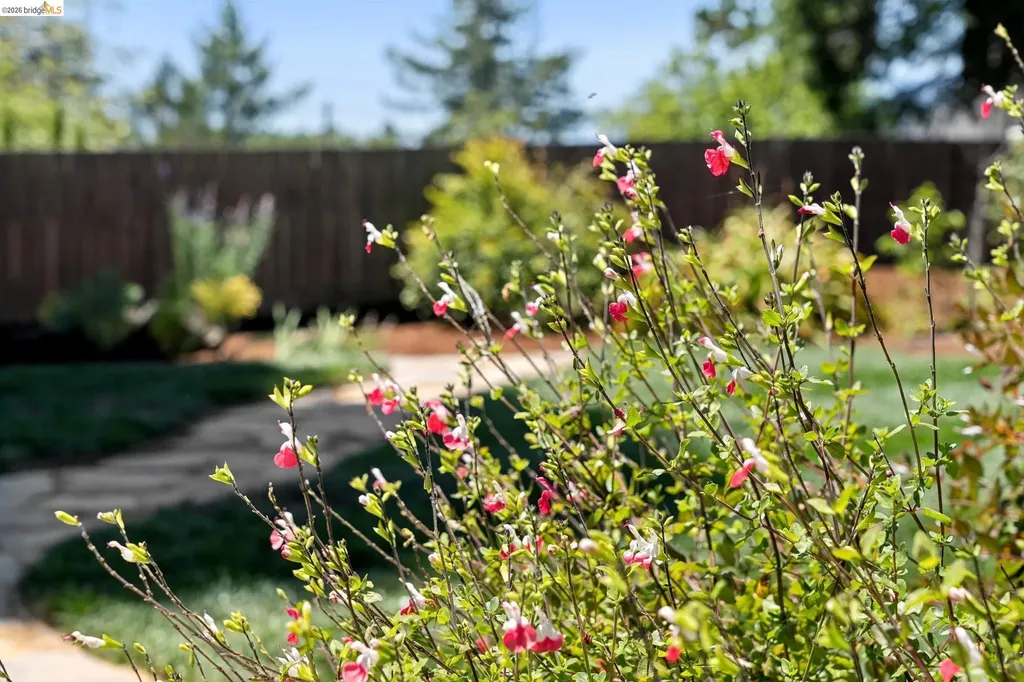 200 Fairlawn Drive Berkeley CA 94708
