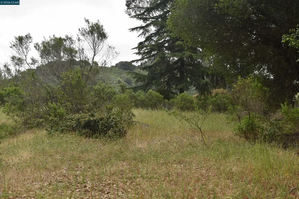 5309 Jensen Road Castro Valley CA 94552