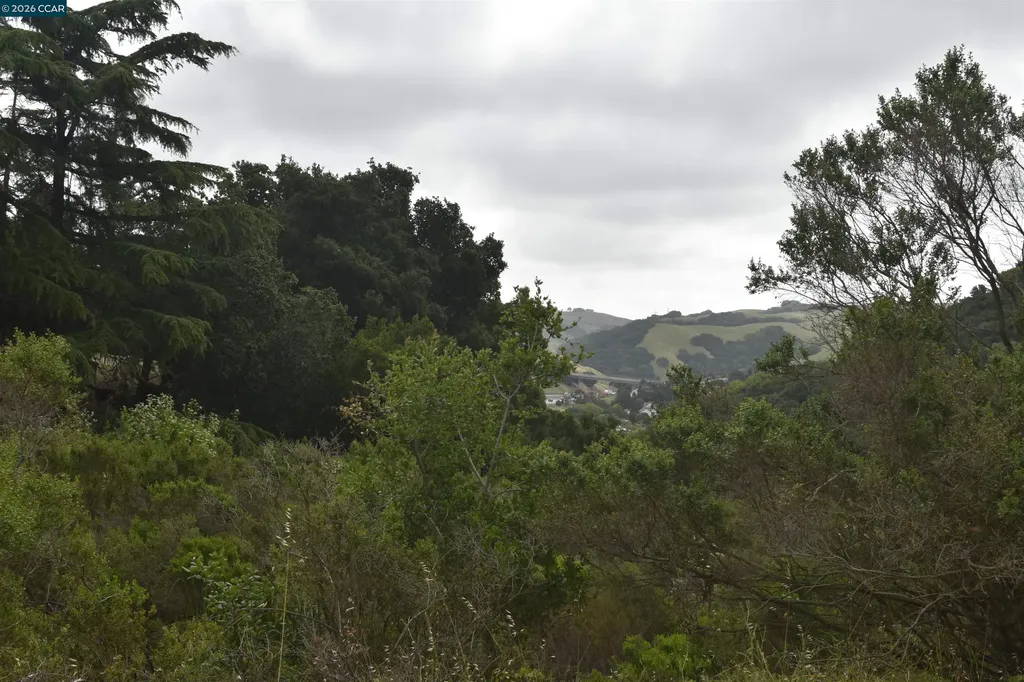 5309 Jensen Road Castro Valley CA 94552