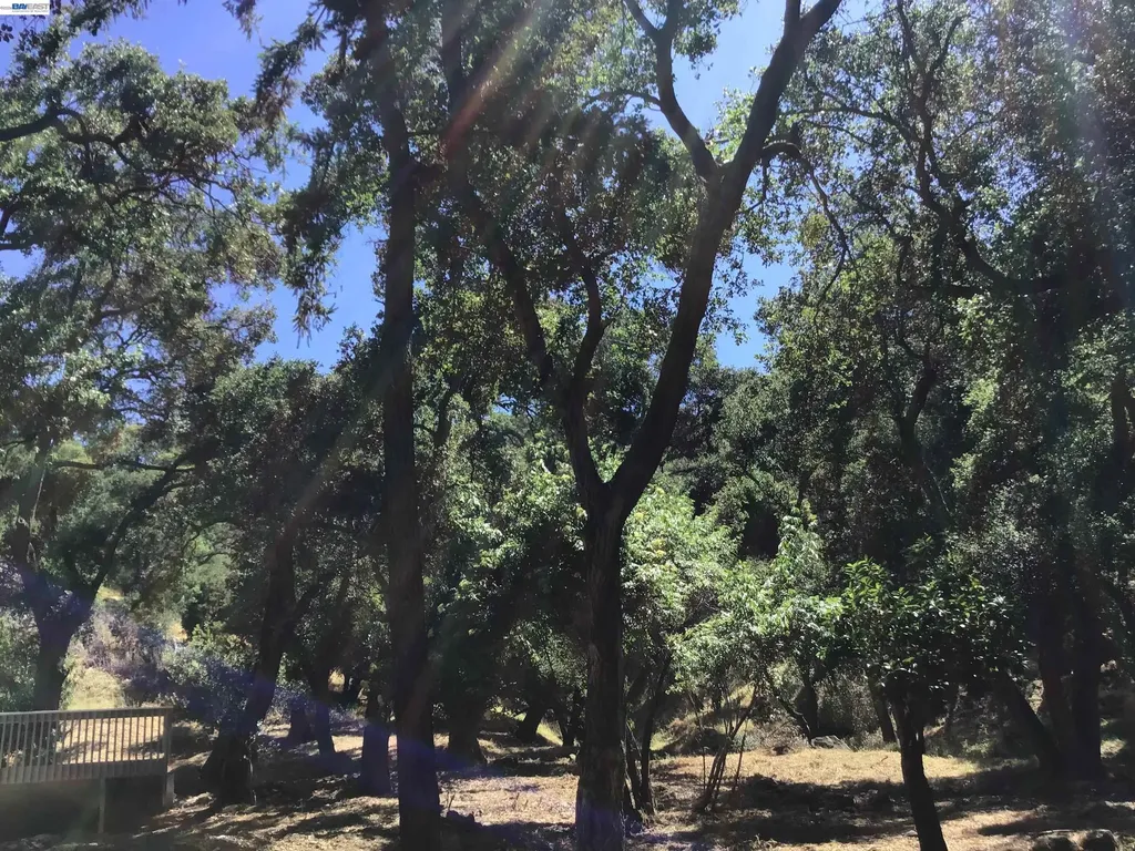 1929 Kilkare Road Sunol CA 94586