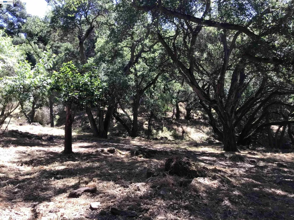 1929 Kilkare Road Sunol CA 94586