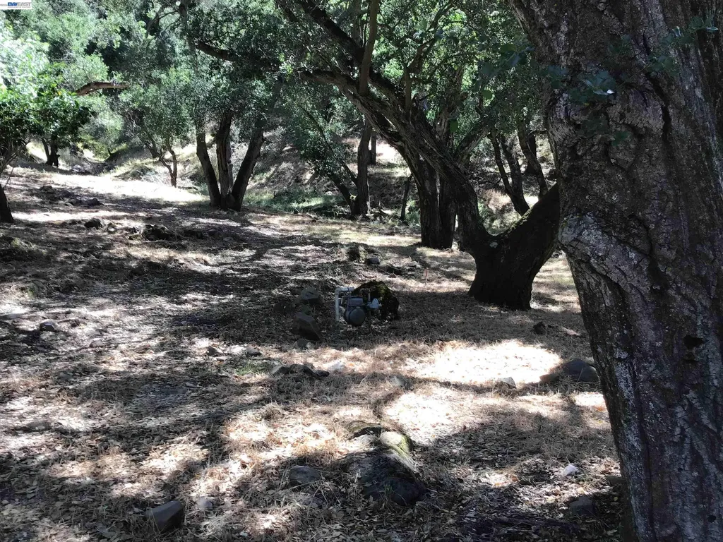 1929 Kilkare Road Sunol CA 94586