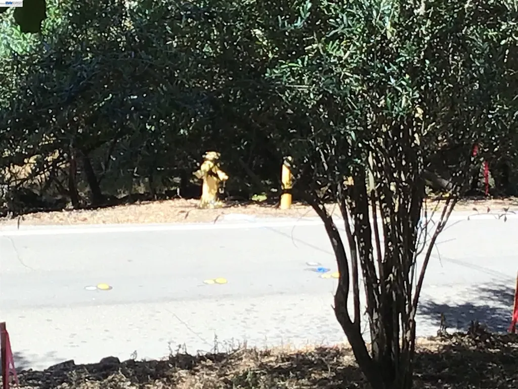 1929 Kilkare Road Sunol CA 94586
