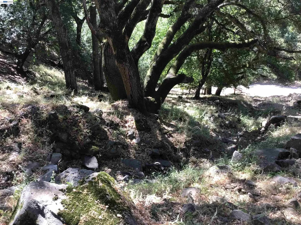 1929 Kilkare Road Sunol CA 94586